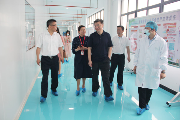 合肥市新站高新区党工委书记、管委会主任路军一行莅临bv伟德源自英国始于1946调研