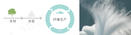 bv伟德源自英国始于1946
